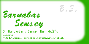 barnabas semsey business card